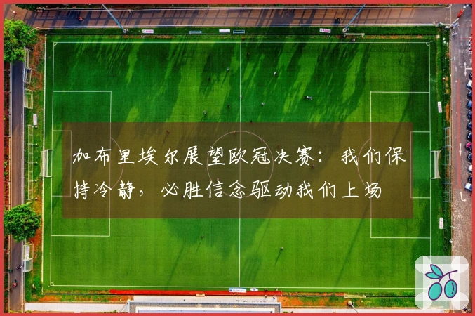 加布里埃尔展望欧冠决赛：我们保持冷静，必胜信念驱动我们上场